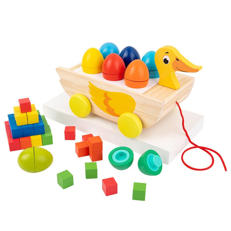Early Childhood Toys For Young Children's Educational Shape Matching